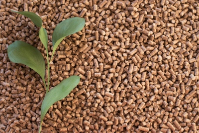 Pellet est-il &eacute;cologique ?