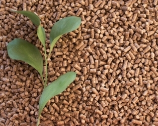 Le chauffage aux pellets est-il vraiment écologique ?